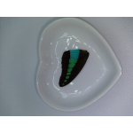 Vlinder vleugel nr 3